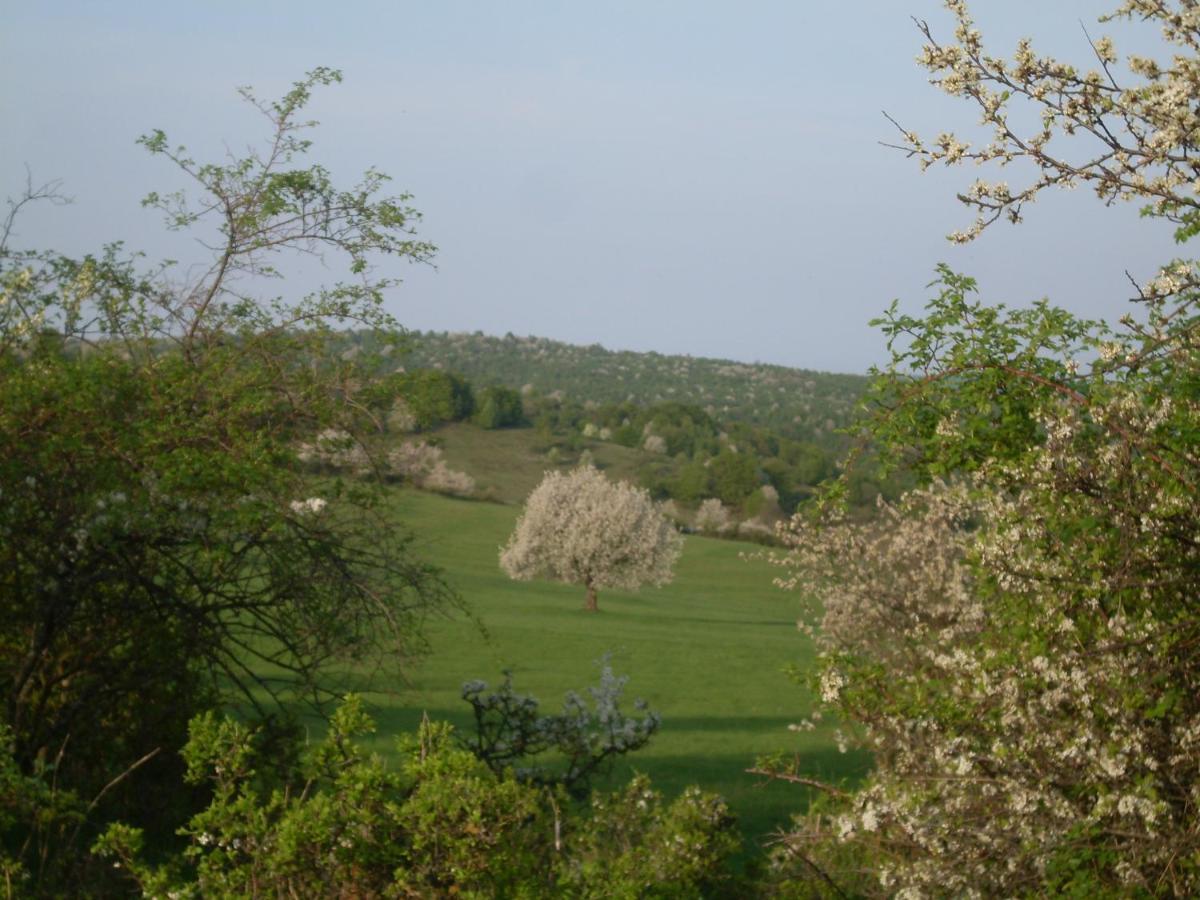 Ubytovanie Na Vcelej Farme Polichno Экстерьер фото